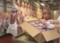 Carnes embaladas em frigorífico utilizadas para ilustrar fornecimento de alimentos à Prefeitura de Itabira